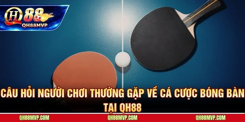Giải đáp trực tiếp các thắc mắc phổ biến nhất từ người mới